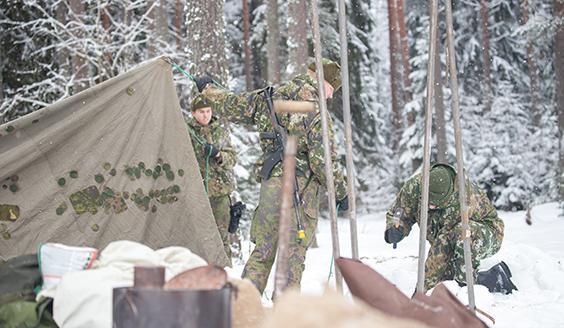 Kolme varusmiestä pystyttävät telttaa metsässä