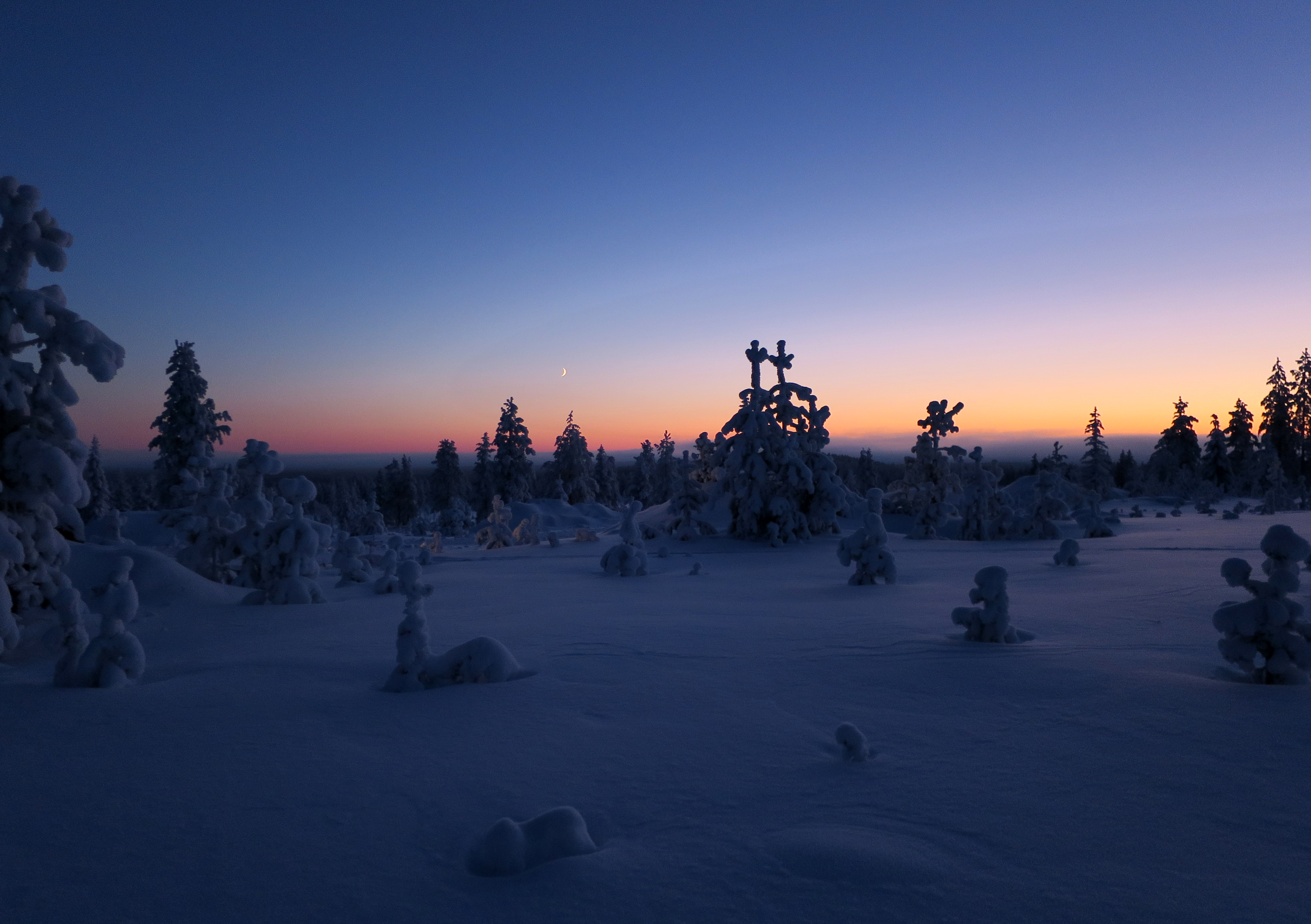 Kaunis auringonlasku lumisessa metsässä